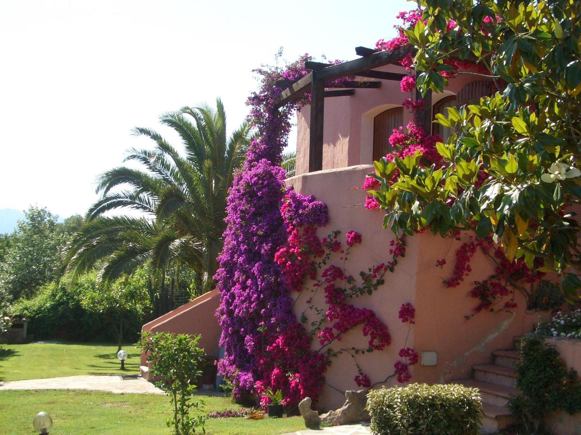 Bed&Breakfast Dessole Olbia Exterior foto